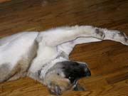 IMG_0691_3721
