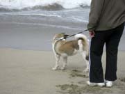 IMG_0694_3683