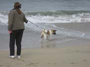 IMG_0696_3685