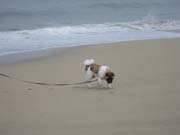 IMG_0697_3686