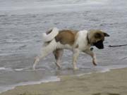 IMG_0699_3688
