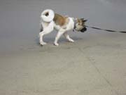 IMG_0701_3690