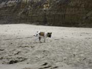 IMG_0704_3693