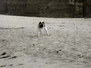 IMG_0705_3694