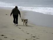 IMG_0707_3696