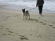 IMG_0708_3697