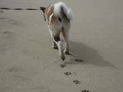 IMG_0711_3700