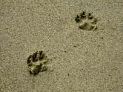 IMG_0712_3701