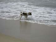 IMG_0713_3702