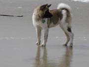 IMG_0714_3703