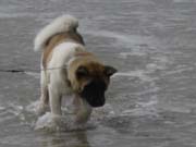 IMG_0715_3704