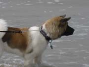 IMG_0716_3705