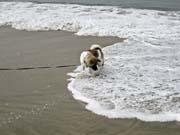 IMG_0719_3708