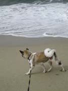 IMG_0721_3710
