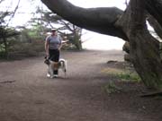 IMG_0722_3711