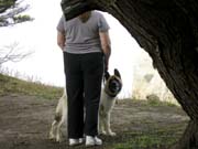 IMG_0725_3714