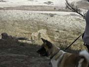 IMG_0726_3715