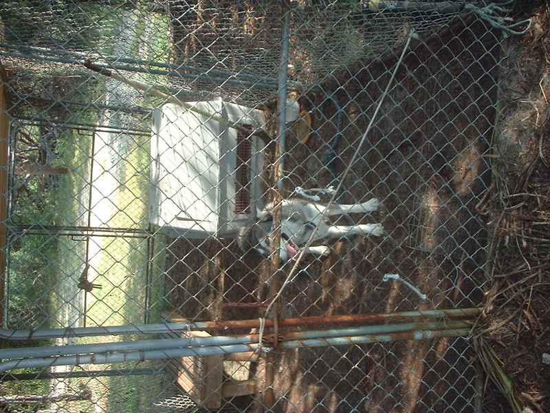 DSCF0001