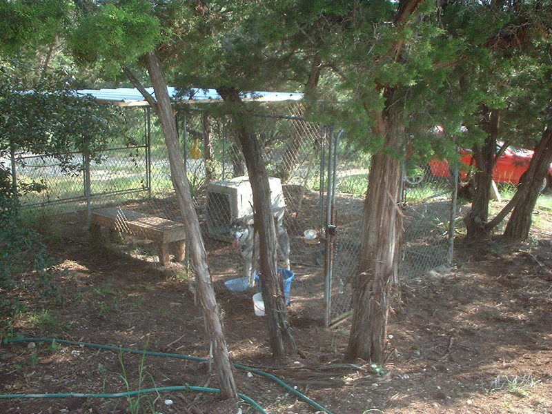 DSCF0004