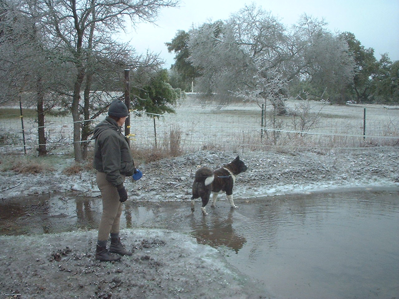 DSCF0067