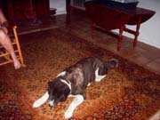 DSCF0007
