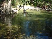 DSCF0028
