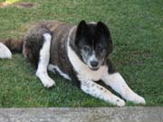 IMG_0004_2332