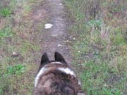 IMG_0013_2320