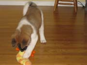 IMG_0627_3422