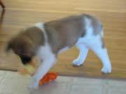 IMG_0630_3425