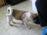 IMG_0632_3427