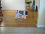 IMG_0633_3428