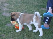 IMG_0637_3432