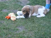 IMG_0640_3435
