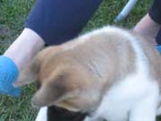 IMG_0641_3436