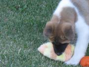 IMG_0642_3437