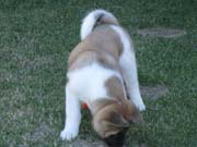 IMG_0644_3439