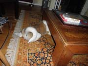 P7100050_3548