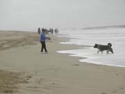 beach_0025